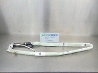 Picture of Airbag de cortina frente direito Renault Megane Scenic I Fase II de 1999 a 2003