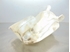 Immagine di Vaschetta tergicristalli anteriore Citroen Xsara Break de 2000 a 2006 | 9647199880