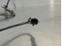 Bild von ABS Sensor vorne rechts Renault Megane III Coupe Fase I aus 2008 zu 2012 | bosch 0265008172