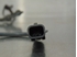 Imagen de Captador / sensor abs delantero izquierdo Renault Megane III Coupe Fase I de 2008 a 2012 | bosch 0265008172