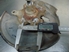 Bild von Achsschenkel hinten rechts Honda Civic aus 1997 zu 2001
