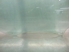 Image sur Vitre de porte avant gauche Seat Leon de 2005 à 2009