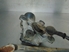 Bild von Scheibenwischer Wischermotor mit Gestänge Kia Rio Break aus 2001 zu 2003