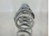 Picture of Rear Spring - Right Skoda Fabia from 2000 to 2004