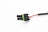Picture of Engine Position Sensor Renault R 19 from 1988 to 1993 | RENIX 101750-04