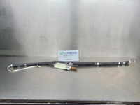 Picture of Airbag de cortina frente direito Peugeot 207 de 2006 a 2009 | AUTOLIV