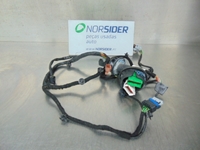 Imagen de Instalación eléctrica puerta delantera izquierda Peugeot 207 de 2006 a 2009