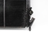 Picture of Water Radiator Renault R 19 from 1988 to 1993