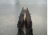 Picture of Front Brake Pads Set Nissan Almera from 1998 to 2000 | TEXTAR