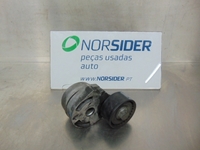 Picture of Tensor da correia de acessórios Ford Fiesta Van de 2005 a 2008