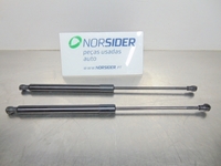 Picture of Amortecedor de mala (par) Citroen C3 Van de 2009 a 2013