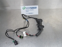 Immagine di Impianto elettrico porta anteriore destra Smart Forfour de 2004 a 2007
