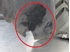 Picture of Front Right Wheel Arch Liner Seat Cordoba from 2002 to 2006