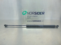 Picture of Amortecedor de capot Citroen Xsara de 1997 a 2000