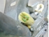 Immagine di Alzacristalli posteriore sinistro Renault Laguna de 1994 a 1998