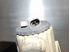 Picture of Farol nevoeiro frente esquerdo Lancia Ypsilon de 1996 a 2000 | CARELLO