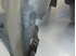 Picture of Cave de roda trás direita Honda Accord Tourer de 2003 a 2006