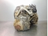 Picture of Caixa de velocidades Ford Focus Sport Van de 2005 a 2008 | 3M5R 7002 YF