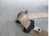 Bild von Sicherheitsgurt hinten rechts Bmw X5 (E53) aus 2000 zu 2003