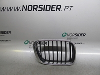 Bild von Kühlergrill rechts Bmw X5 (E53) aus 2000 zu 2003