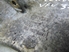 Picture of Alternator Mounting Bracket Seat Cordoba from 1994 to 1997