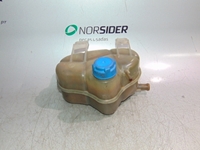 Immagine di Vaschetta acqua radiatore Fiat Grande Punto da 2005 a 2012 | 