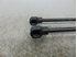 Immagine di Case ammortizzatore (coppia) Dacia Logan II MCV de 2012 a 2016