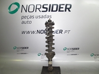 Picture of Suspensão / amortecedor e mola trás direita Rover Serie 200 de 1996 a 2000 | Delphi
