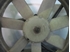 Immagine di Termoventilatore Volkswagen Polo de 1990 a 1994