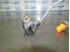 Picture of Captor / sensor de abs trás direito Honda Civic de 2000 a 2003 | Siemens