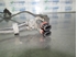 Bild von ABS Sensor vorne links Mercedes Classe E (210) aus 1995 zu 1999 | Bosch