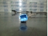 Picture of Captor / sensor de abs trás esquerdo Citroen C2 Van de 2004 a 2005 | Ate