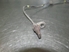 Bild von ABS Sensor hinten links Citroen C3 aus 2002 zu 2005 | Ate