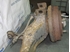 Bild von Achsschenkel hinten links Mitsubishi Space Star aus 1998 zu 2002