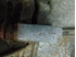 Immagine di Riduttore Cambio Mazda 121 de 1996 a 2000 | 96WTFBFOF6G11