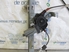 Picture of Front Right Window Regulator Lift Peugeot 206 Xa (Van) from 2003 to 2007