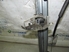 Immagine di Alzacristalli anteriore destro Citroen Xsara de 1997 a 2000