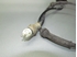 Bild von ABS Sensor hinten links Renault Clio II Fase II aus 2001 zu 2003 | Bosch 0265006384