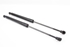 Imagen de Amortiguador de maletero / porton  ( juego ) Renault Clio IV Break Fase I de 2012 a 2016 | 844307620R