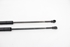Imagen de Amortiguador de maletero / porton  ( juego ) Bmw Serie-3 Touring (E46) de 2001 a 2005