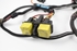Picture of Fan Loom / Harness Renault Laguna from 1998 to 2001