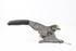 Picture of Punho / alavanca travão de mão Peugeot 407 Sw de 2004 a 2008 | 965898737700
