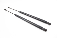 Immagine di Case ammortizzatore (coppia) Ford S-Max de 2006 a 2010 | 6M21-R406A10-BA