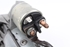 Imagen de Motor de arranque Mitsubishi Space Star de 1998 a 2002 | VALEO 30620657
8200064465