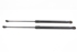 Picture of Tailgate Lifters (Pair) Volkswagen Passat Variant from 2001 to 2006 | 1J6827550E