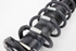 Picture of Suspensão / amortecedor e mola trás direita Rover Serie 200 de 1996 a 2000 | MONROE