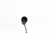 Imagen de Captador / sensor abs trasero derecho Rover Serie 200 de 1996 a 2000 | ROVER SSB 101060