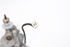 Bild von Wischermotor hinten Kia Shuma aus 1998 zu 2001 | 03511-1200