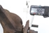 Imagen de Mangueta delantera derecha Ford Ka de 1996 a 2008 | 97KB-3K170
