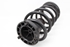 Image sur Ressort de suspension arrière droite Lancia Ypsilon de 2003 à 2007